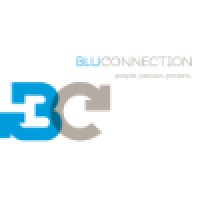 Bluconnection pte ltd
