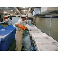 Fish  Fresh and Frozen Fish SEAFOOD for Sale at the Best Prices - AL ANDALUS logo - Similar company to Fishx Pvt. Ltd.