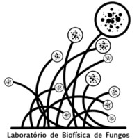Laboratório De Biofísica De Fungos