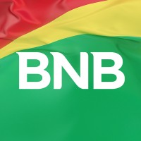 Banco Nacional de Bolivia S.A. logo - Similar company to Pro Mujer