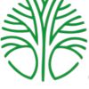 CMS IDENT logo - Similar company to Chh India Pvt.Ltd