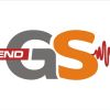 GS Ensayos y Servicios SAS