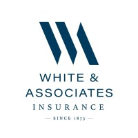 WHITE & ASSOCIATES INSURANCE AGENCY logo - Similar company to Last Mile Delivery Solutions
