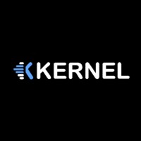 KERNEL SOLUTIONS INC logo - Similar company to Optic Z