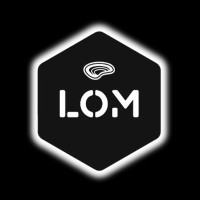 LOMSTOREID logo - Similar company to Digimind Education
