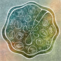 Laboratory of Biochemistry and Molecular Biology logo - Similar company to Pbiotec - The Phage Experts