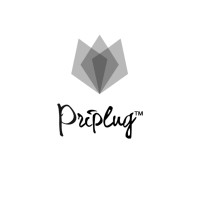 Priplug™ logo - Similar company to Preava