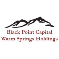 Warm Springs Realty Holdings, LLC logo - Similar company to Affix