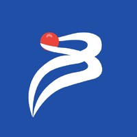 Sleengshort Limited logo - Similar company to Tion Messaging