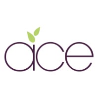 The Academies for Character and Excellence logo - Similar company to King Edward Vi Community College