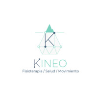 Kineo Fisioterapia Salud Movimiento