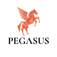 Pegasus Funding Solutions Ltd logo - Similar company to All-Pak Engineering Ltd.