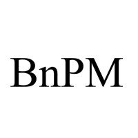 BnPM logo - Similar company to Hanclean