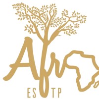 Afro ESTP logo - Similar company to Cs Afrique