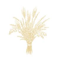 basant. | droogbloemen logo - Similar company to Ez Flower Export