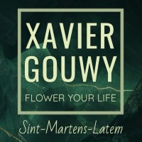 Flower Your life logo - Similar company to Silverspoon