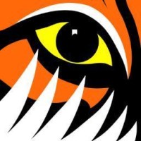 TigerTurf Sport Americas logo - Similar company to Ubu Sports