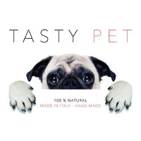 Tasty Pet logo - Similar company to Novogram | Making Communication