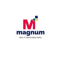 MAGNUM MULTI SERVICES SARL logo - Similar company to Ml – Services Sarl