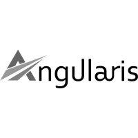Angularis.ai logo - Similar company to Solteir