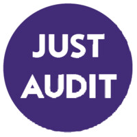 Just Audit logo - Similar company to Just Audit B.V.