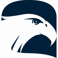Eagle IT logo - Similar company to Eagle It Pty Ltd
