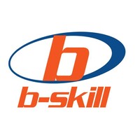 B-Skill Ltd logo - Similar company to Nuusflits