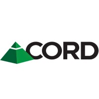 CORD Financial Services, LLC logo - Similar company to Digital Network Solutions