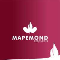 Mapemond Brand Consulting logo - Similar company to Vitalswap