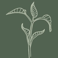 Green Shoots Accounting logo - Similar company to Pure Cloud Accounting Ltd