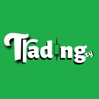 Tradingzy logo - Similar company to Tradeify Gmbh