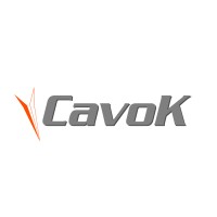 CAVOK SARL logo - Similar company to Cavok Engineering