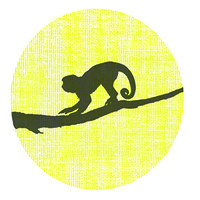 StudioAPE logo - Similar company to Studio Monochrome