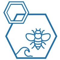 Blue Bees logo - Similar company to Bluebee