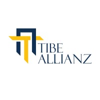 TIBE ALLIANZ PVT LTD logo - Similar company to Grapixi India