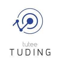 Tuding logo - Similar company to Gtb Mentorship Program