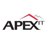 NGI APEX IT INDIA PRIVATE LIMITED