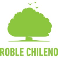Roble Chileno