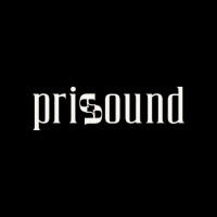 Prisound logo - Similar company to Agência Up