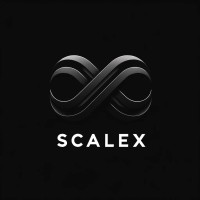 ScaleX logo - Similar company to Innovative Online Marketing Agency