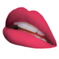 Satisfaction London logo - Similar company to Krypton Escorts