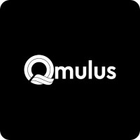 Qmulus Solutions logo - Similar company to Qmulus Solutions