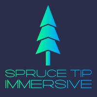 Spruce Tip Immersive logo - Similar company to Evara Vr