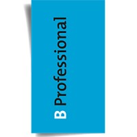 B Professional B.V. logo - Similar company to Bprofessionals