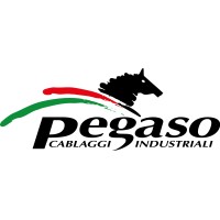 PEGASO logo - Similar company to Tecno Transfer S.R.L.