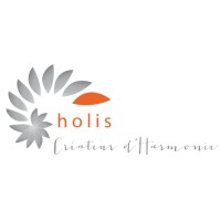 HOLIS Coaching logo - Similar company to Comkeys Group