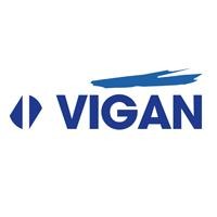 Vigan Engineering logo - Similar company to Bits Vizag - Baba Institute Of Technology And Sciences