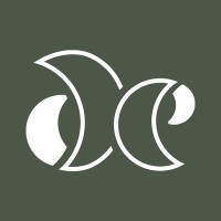 Digital Effervescence logo - Similar company to Spiriit