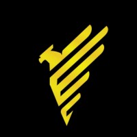 Elite Security Solutions, LLC (ESS) logo - Similar company to Dt Informatics