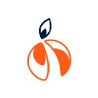 R&Damasco Soluções Industriais logo - Similar company to Finmatch Brasil